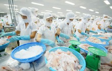 Xuất khẩu nông sản khởi sắc từ đầu năm