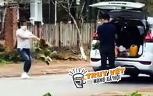 Phẫn nộ với hình ảnh nữ du khách trộm hoa cẩm tú cầu ở Măng Đen