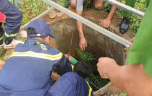 Báo động tình trạng rơi xuống giếng tưới cà phê ở Đắk Lắk