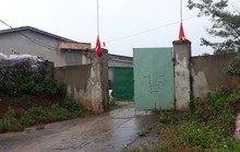 Kiểm điểm phó chủ tịch huyện xác nhận khống về sâm Ngọc Linh