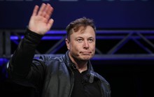 Elon Musk lần đầu nhận sai kể từ khi nắm quyền Twitter