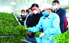 Chăm lo tốt hơn nữa cho người lao động
