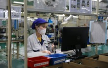 Hướng tới việc làm thỏa đáng
