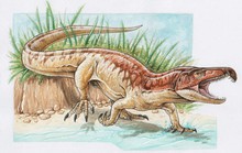 Ấn Độ: Phát hiện quái vật Tây Bengal giống T-rex lai cá sấu