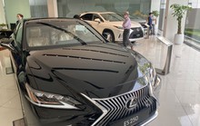 Nhập khẩu ôtô về Việt Nam tăng hơn 200% trong tháng 1-2023