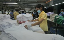 Triển khai gói hỗ trợ lao động giảm việc làm