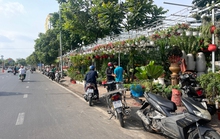 Vỉa hè, lòng đường: Quản sao cho vẹn đôi đường (*): Biết sai nhưng vẫn lấn!