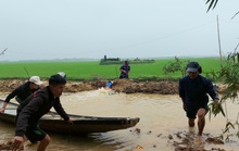 Hàng ngàn hecta lúa ngập úng, người dân chạy đua cứu lúa