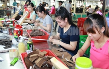 Có nên quy định cứng tuổi nghỉ hưu?