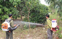 Ngày đêm căng mình bảo vệ rừng