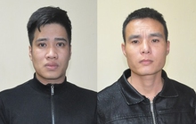Tưởng việc nhàn lương cao ngàn đô, nào ngờ phải làm việc tới 18 tiếng/ngày với lương bèo