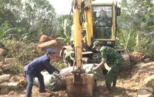 Bắt xe tải chở gần 2 tấn nội tạng heo hôi thối