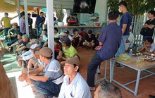 Bình Thuận triệt phá trường gà quy mô lớn do 1 phụ nữ cầm đầu