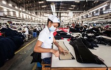 Nhật Bản, Hàn Quốc vẫn thu hút lao động Việt Nam