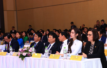 Ba tỉnh Bắc Trung Bộ bắt tay làm du lịch đặc sắc