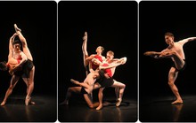 Tranh Đông Hồ bằng ngôn ngữ ballet