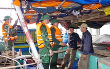 Bắt quả tang 8 tàu cá đánh bắt hải sản sai quy định