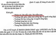 TP HCM: Sự thật về văn bản lấy ý kiến trẻ mẫu giáo, mầm non về dự thảo Luật Đất đai