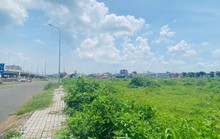Mòn mỏi chờ xét xử