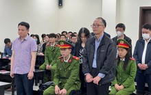 Cựu giám đốc chi nhánh ngân hàng BIDV bị đề nghị 8-9 năm tù