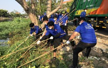 Hè đến, tuổi trẻ TP HCM đề ra nhiều chỉ tiêu quan trọng