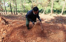 Lâm Đồng: 12 người bị phạt gần 1 tỉ đồng