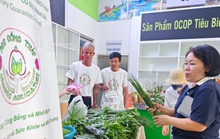 Nông dân chở rau hữu cơ từ Đồng Tháp lên TP HCM bán chỉ 5.000 đồng/bó