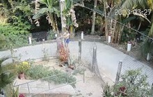 Bắt khẩn cấp kẻ đánh chết người phụ nữ ở Tiền Giang
