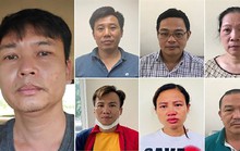 Nâng khống giá cây xanh, chia chác tiền tỉ