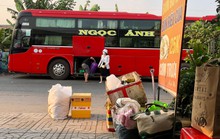 Xe dù, bến cóc lộng hành: Thuốc trị là rút giấy phép?