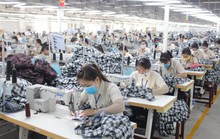 Khánh Hòa phấn đấu giải quyết việc làm cho 11.500 lao động