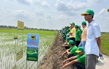 Chương trình Canh tác lúa thông minh được đưa vào đề án gắn với tăng trưởng xanh tại ĐBSCL