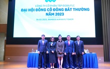 Bà Vũ Đặng Hải Yến  trở lại ngồi ghế nóng tại Tập đoàn FLC