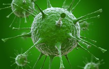WHO: Trung Quốc ghi nhận ca tử vong vì cúm H3N8 đầu tiên trên thế giới