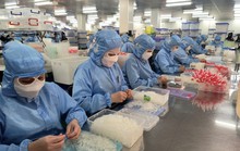 Công nhân về quê làm việc