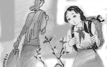 Giàn hoa giấy