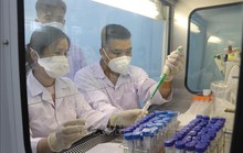 Biến thể phụ Omicron phổ biến trên thế giới đã xâm nhập Việt Nam