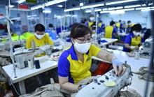 Không một doanh nghiệp nào muốn thuê lao động ngoài 40