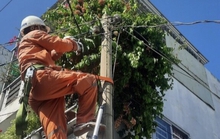 TP HCM: Đề nghị hạn chế ngừng, giảm cung cấp điện vào ban đêm và cao điểm nắng nóng