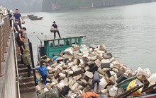 Căng mình xử lý phao xốp tràn ra biển