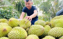 Báo Người Lao Động tổ chức hội thảo Nâng tầm nông - thủy sản Việt