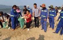 500 người tham gia nhặt rác ở bãi biển Đà Nẵng