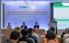 Ông Trần Bá Dương: Chấp nhận hủy niêm yết để HAGL Agrico mạnh hơn!