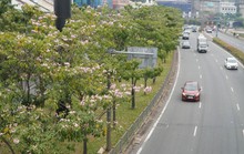 Thời tiết ngày Giỗ tổ Tổ Hùng Vương: Nắng nóng, có khả năng mưa rào và giông