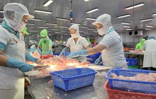 Thủ tướng: Nghiên cứu gói tín dụng 10.000 tỉ đồng hỗ trợ doanh nghiệp lâm - thủy sản