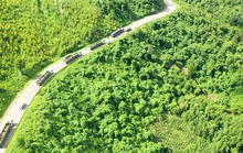 THILOGI mang đến nhiều giải pháp vận tải nội địa tối ưu cho doanh nghiệp