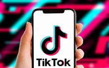 Bộ Thông tin và Truyền thông sẽ kiểm tra toàn diện hoạt động của TikTok
