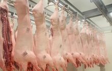 TP HCM hỗ trợ 3 dự án giết mổ công nghiệp