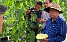Phát triển tam nông ở TP HCM: Những trang trại siêu sạch trên đất vàng