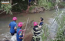 Video: Thu phục cá sấu khủng lang thang gần nhà dân